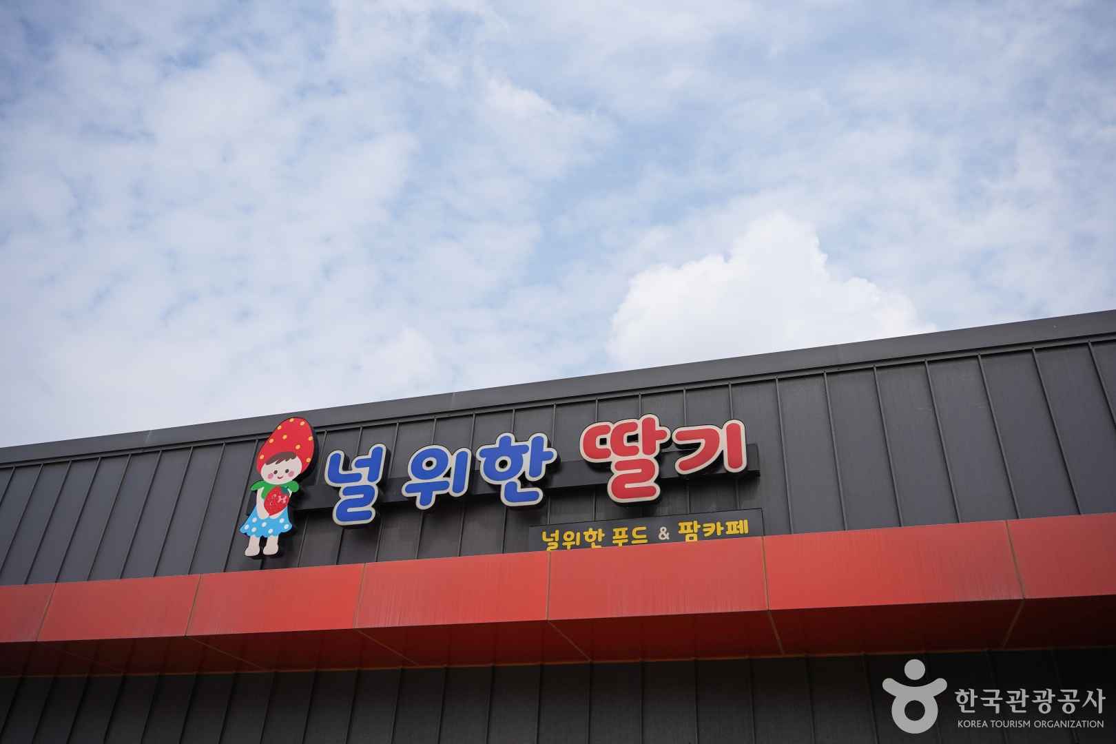 널위한딸기농장 이미지 1