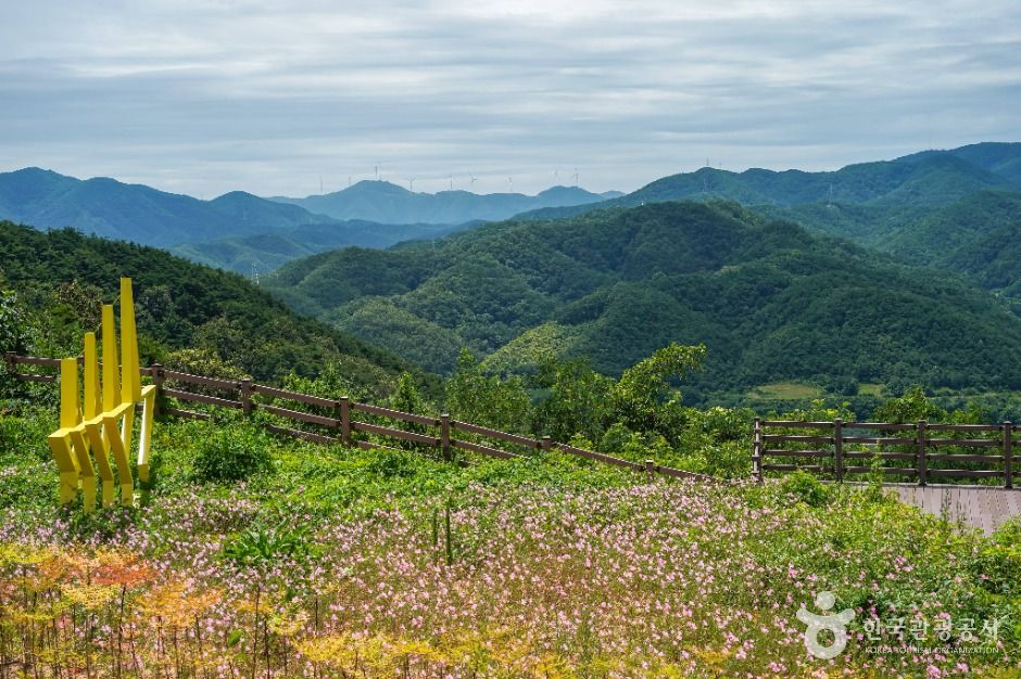 의성 달빛공원 이미지 2