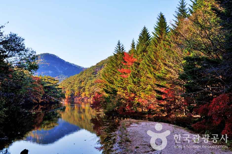 속리산세조길 이미지 3