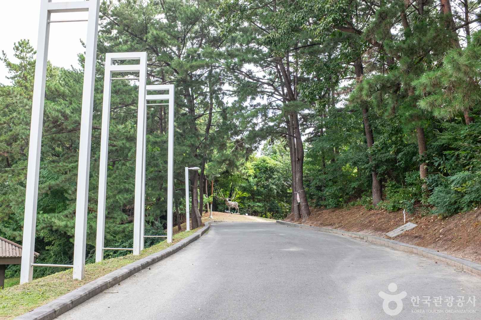 포항시립미술관 이미지 1