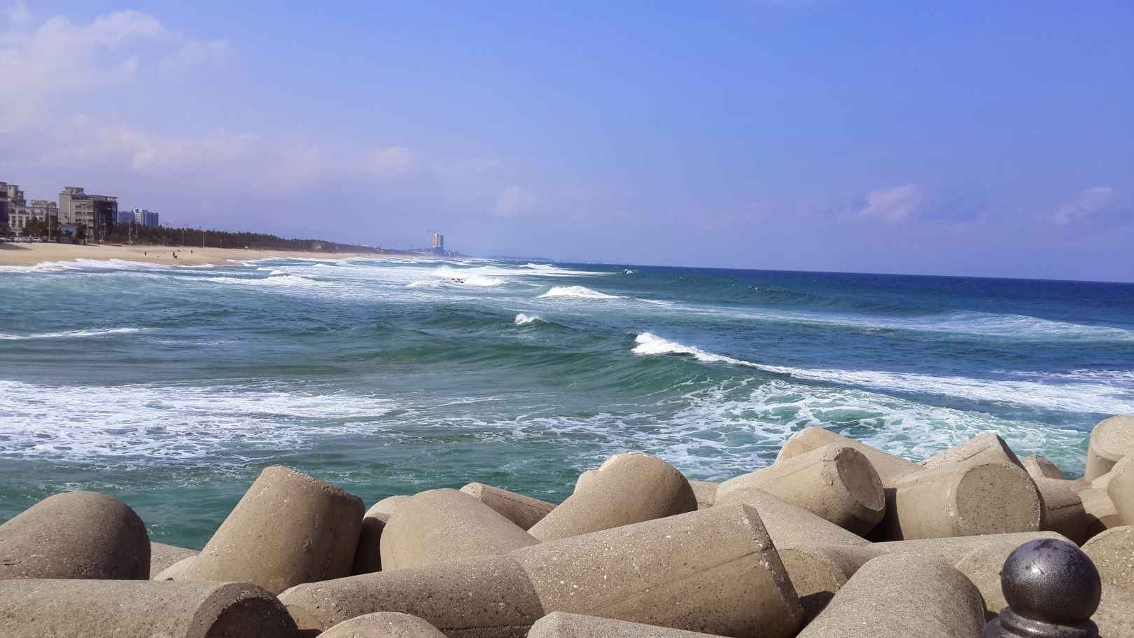 안목해변 이미지 3
