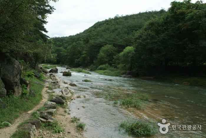 석천계곡 이미지 6