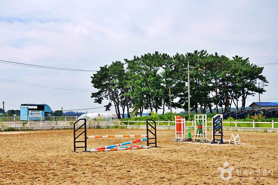 충남승마클럽 이미지 6