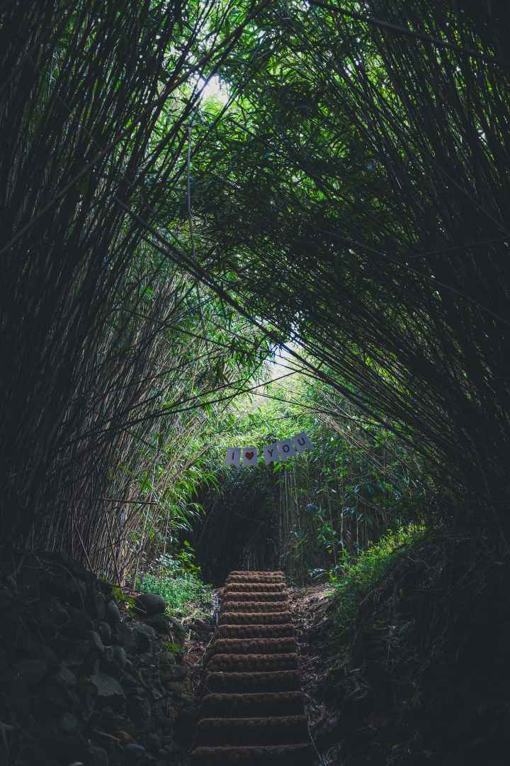 샛바람소리길 이미지 4