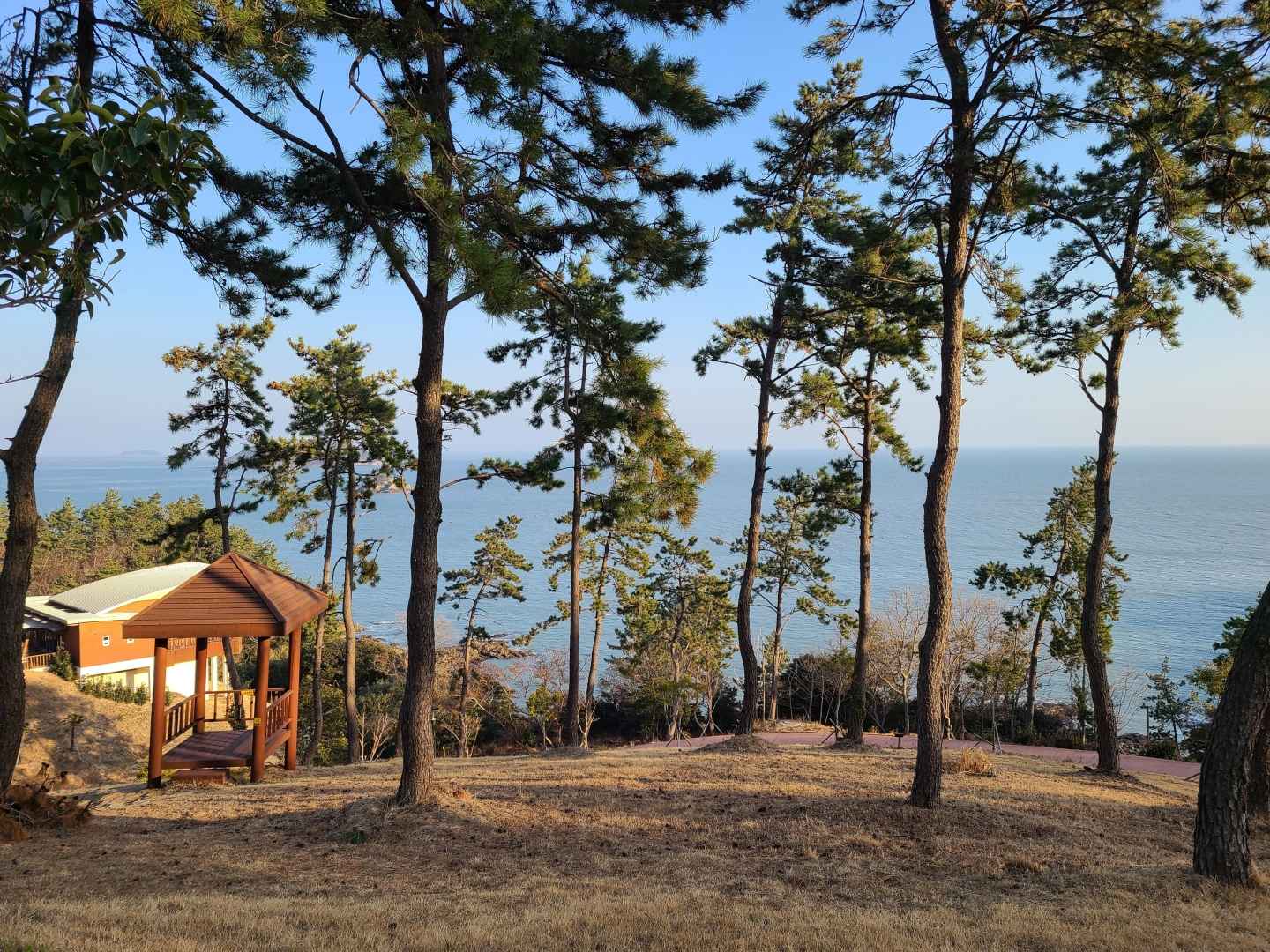 진도 이미지 4