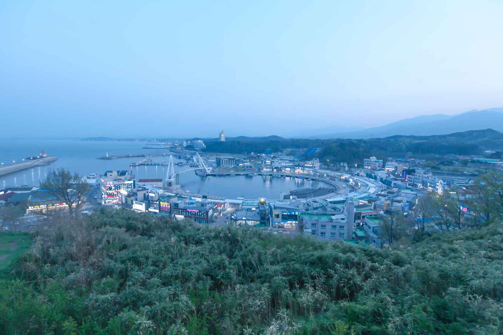 대포항 전망대 이미지 4