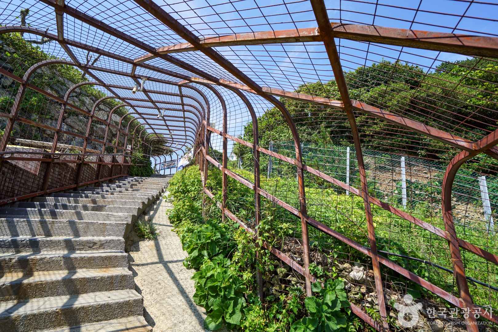 함목몽돌해변 이미지 6