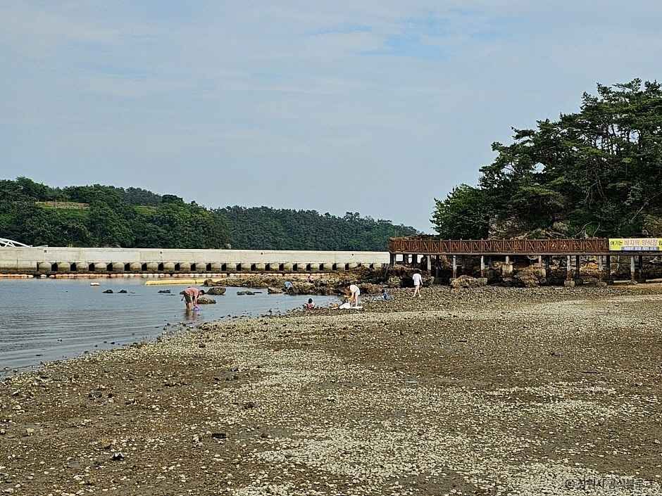 신비의 바닷길 동섬 이미지 8