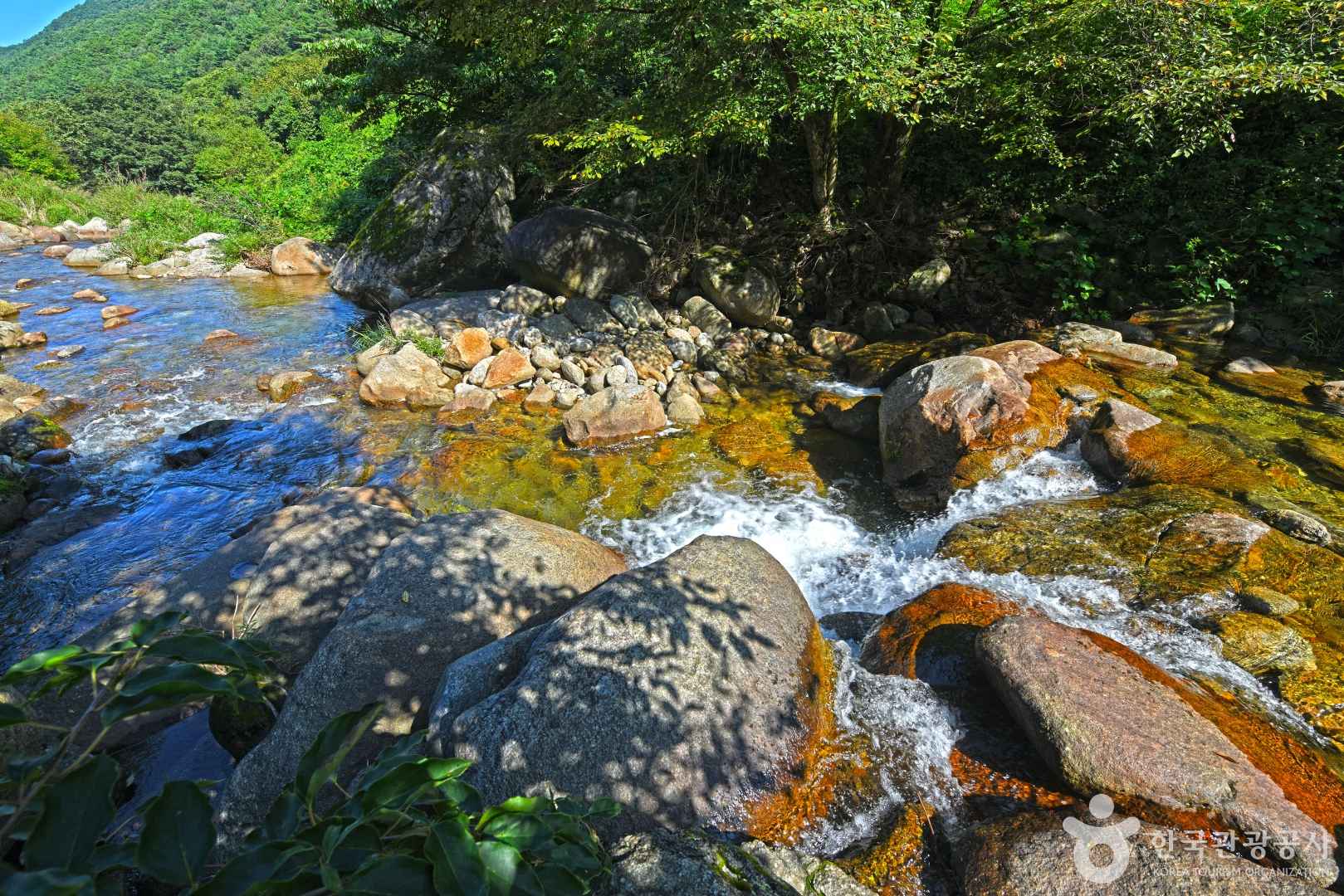 새밭계곡 이미지 4
