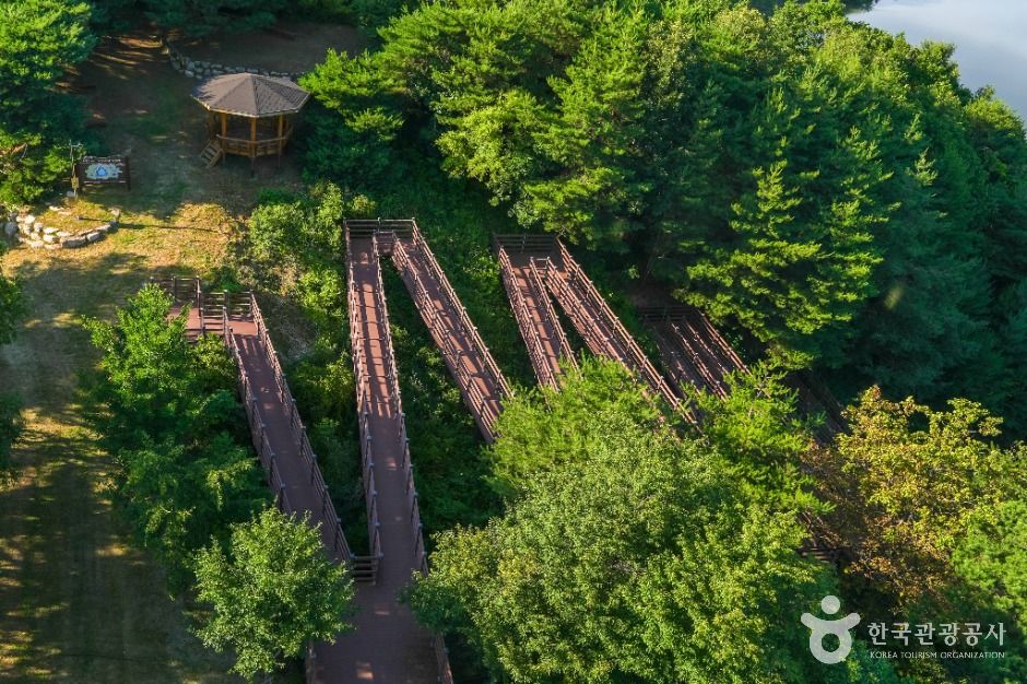 소백산 하늘자락공원 이미지 5