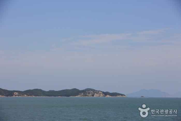 첨도 이미지 2