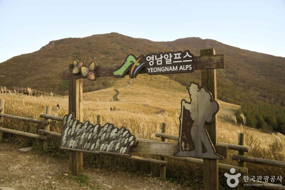 간월재 억새 이미지 3