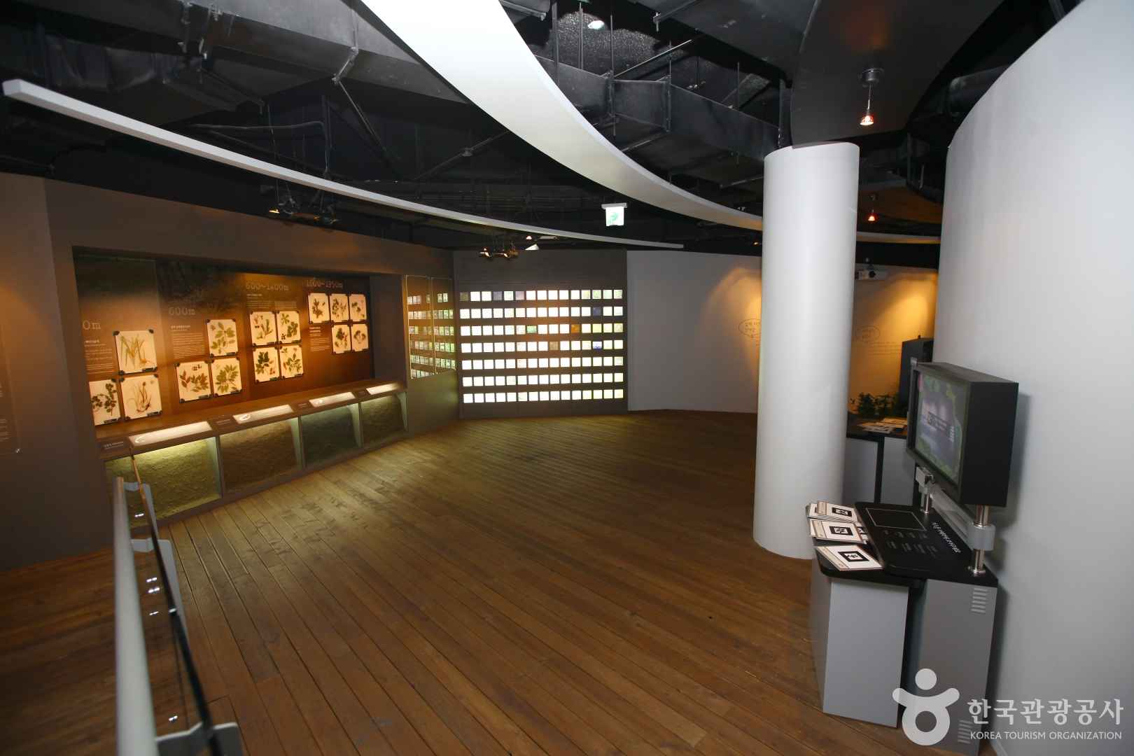 제주 세계자연유산센터 이미지 6