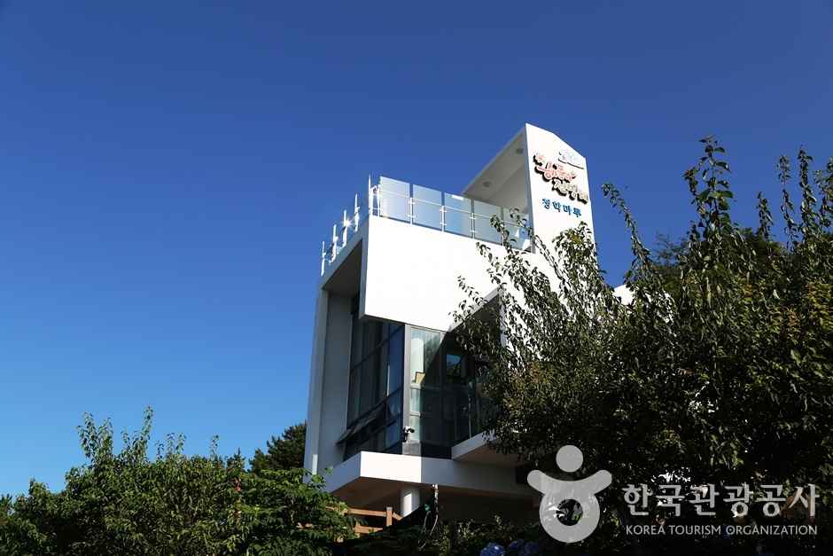 해돋이전망대 이미지 4