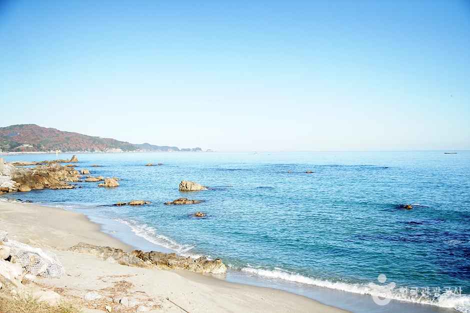 초곡해수욕장 이미지 1