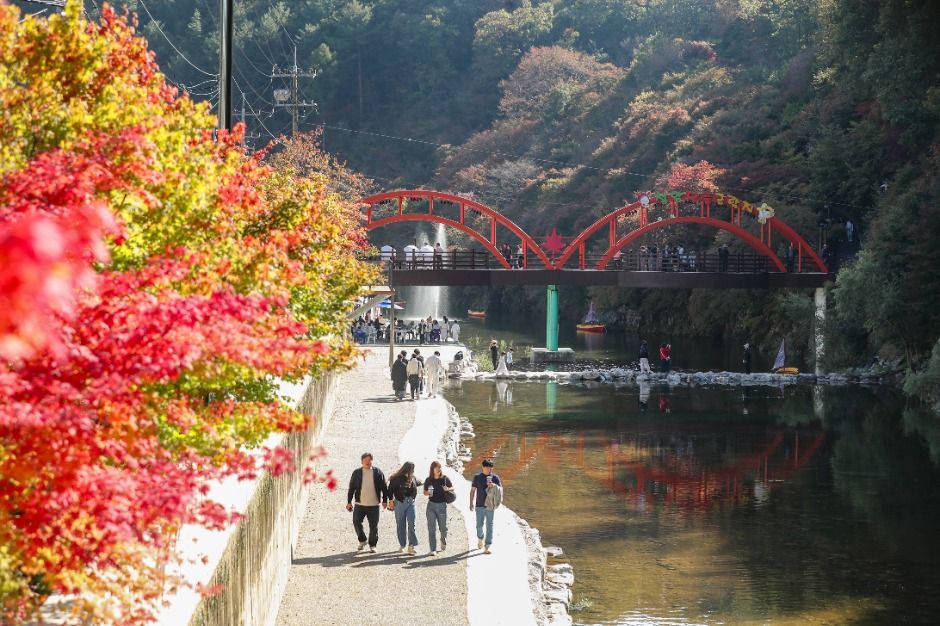 철암단풍군락지 이미지 4