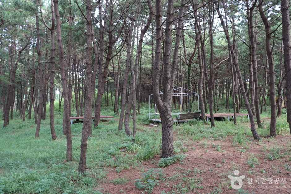 주문도 이미지 7