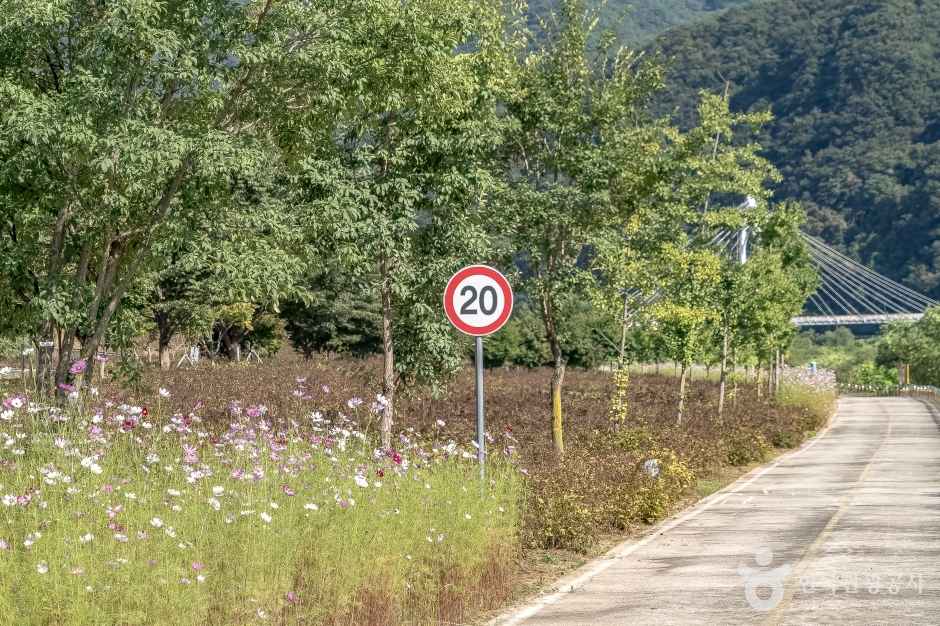 화천 파로호 자전거 100리길 이미지 5