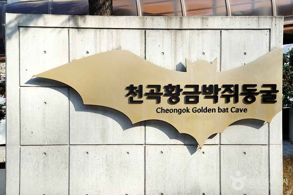 천곡천연동굴 자연학습체험공원 이미지 5