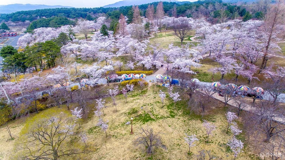 경주 불국사 [유네스코 세계유산] 이미지 3