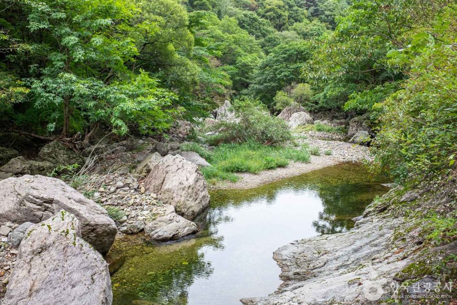 절골협곡 (청송 국가지질공원) 이미지 4