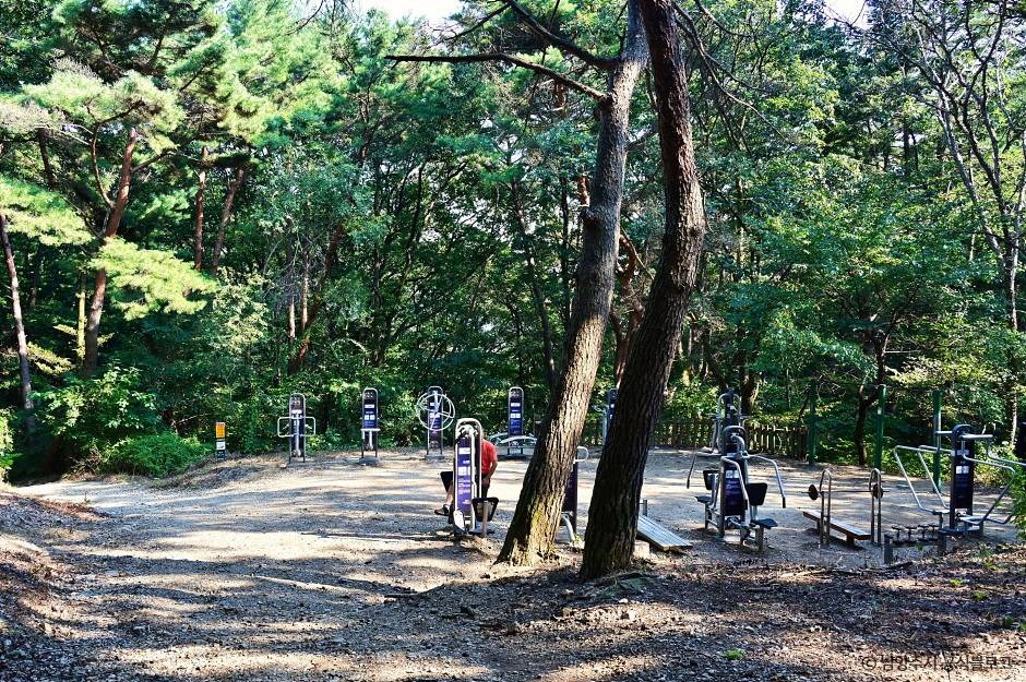천마산 시립공원 이미지 2