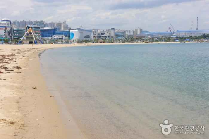 일산해수욕장(울산) 이미지 1