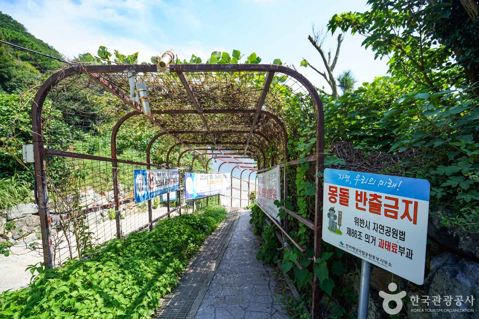 함목몽돌해변 이미지 7