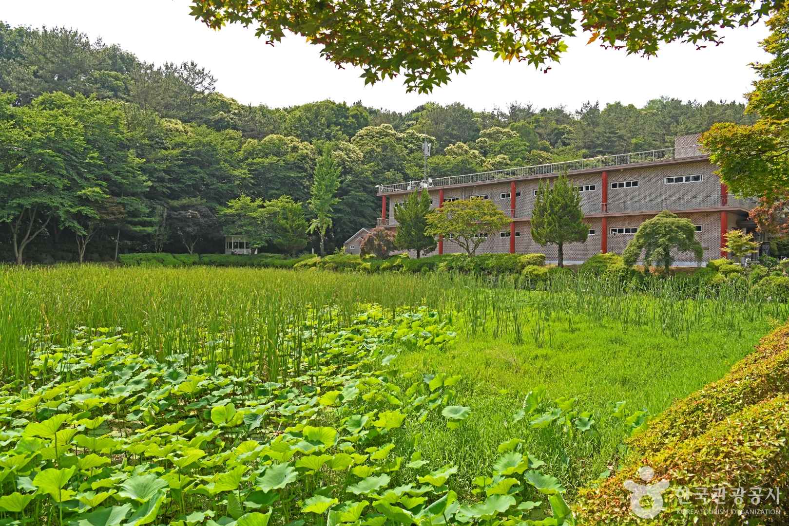 지당자연사박물관 이미지 3