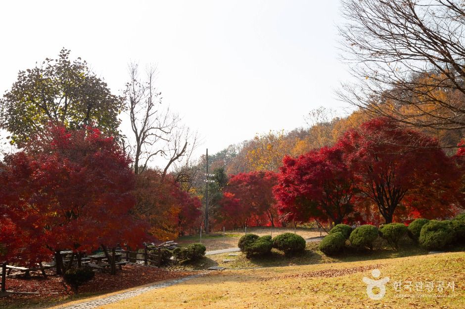 국립청주박물관 이미지 7