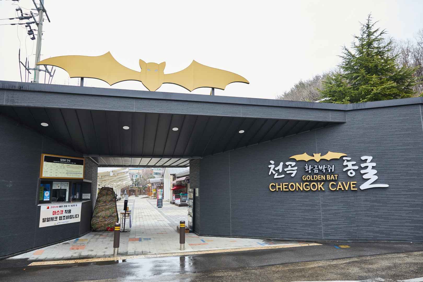 천곡황금박쥐동굴 이미지 5