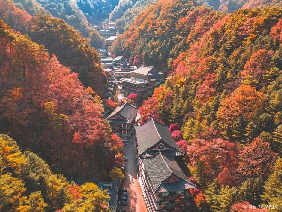 구인사(단양) 이미지 1