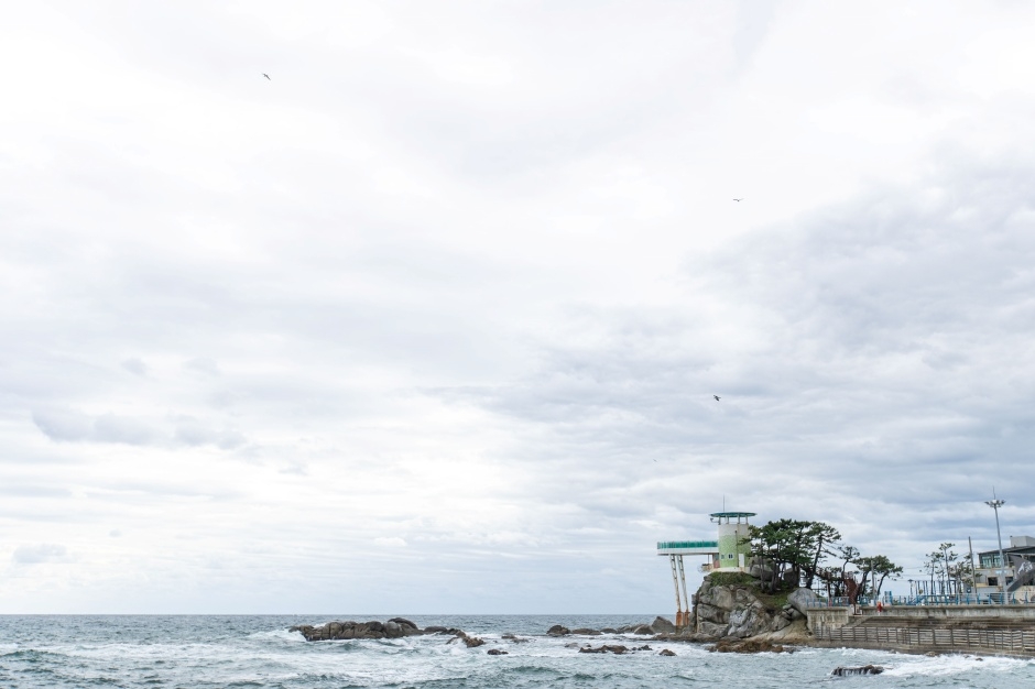 남애항 스카이워크 전망대 이미지 8