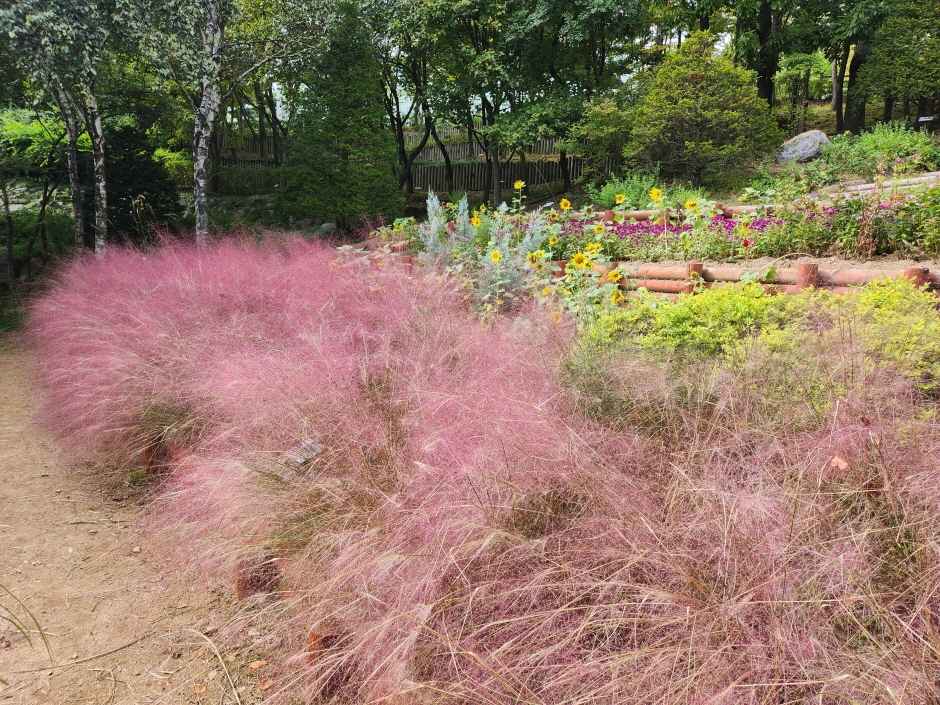 성남시 식물원 이미지 2