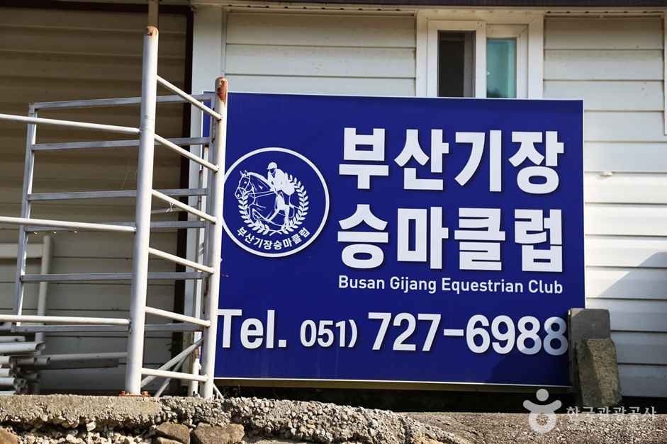 부산기장승마장 이미지 4