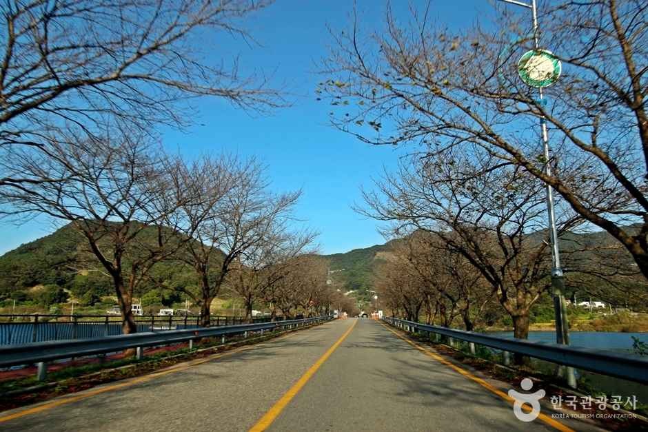 [옥천 향수200리 자전거길] 대청호 코스 이미지 2
