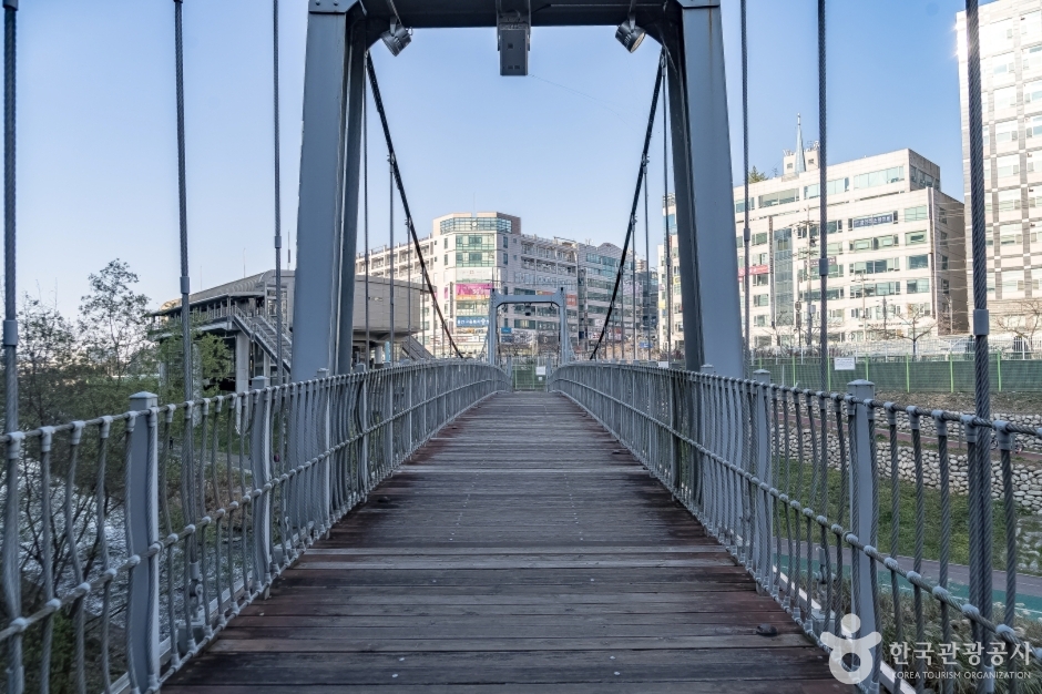 용인 구갈레스피아 이미지 2