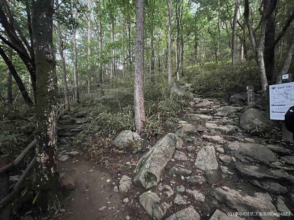 지리산국립공원(남원) 이미지 6