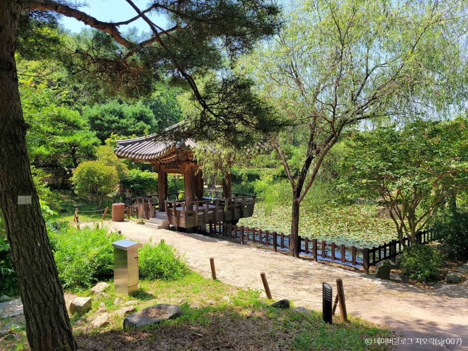 안면도수목원 이미지 3
