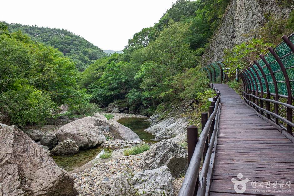 절골협곡 (청송 국가지질공원) 이미지 2