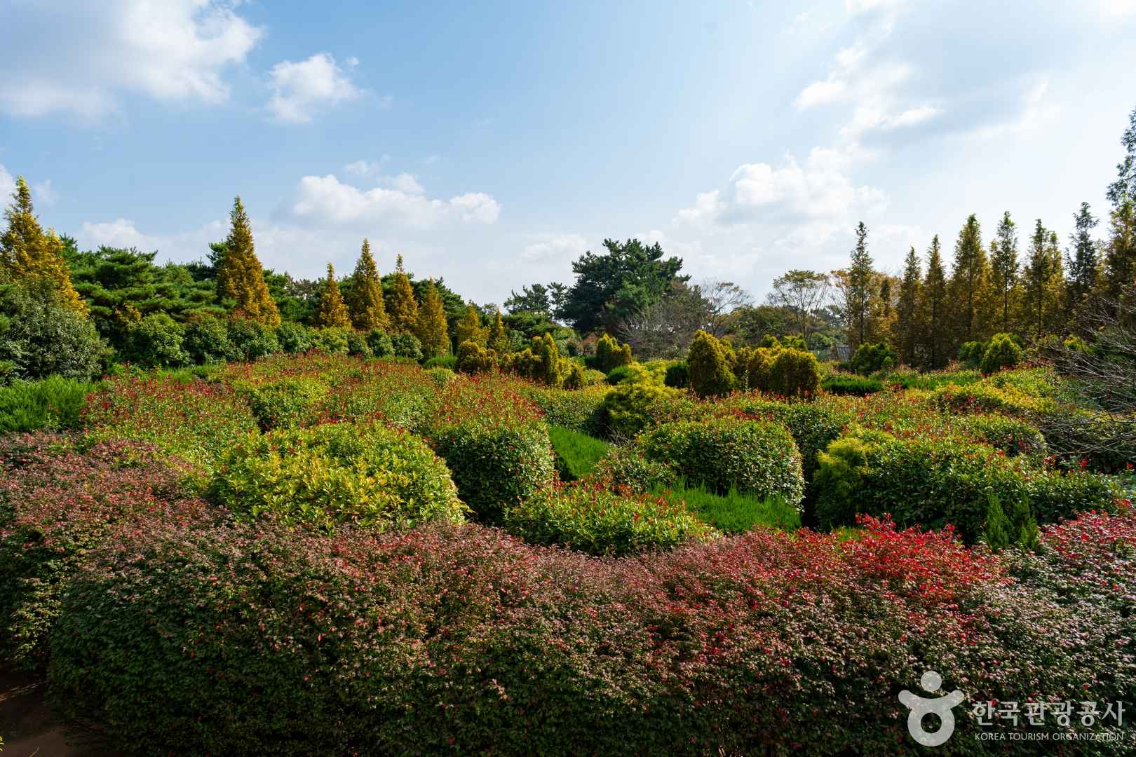 청산수목원 이미지 5