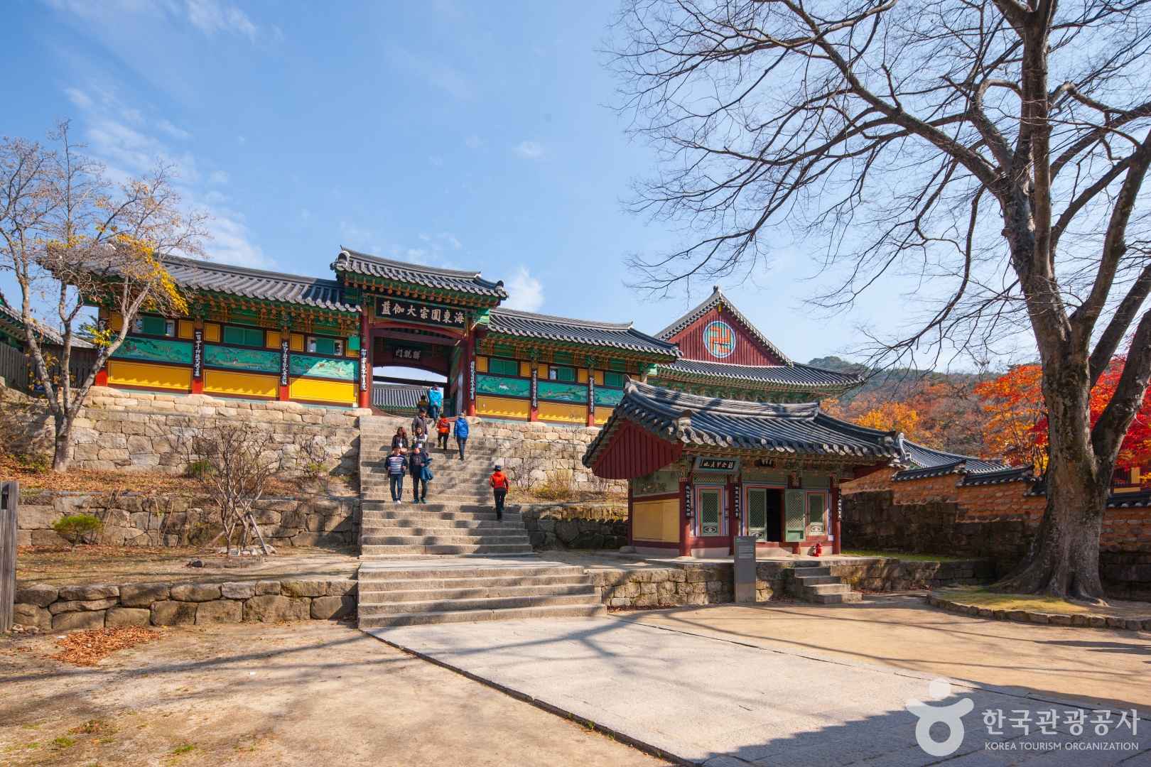해인사 이미지 6