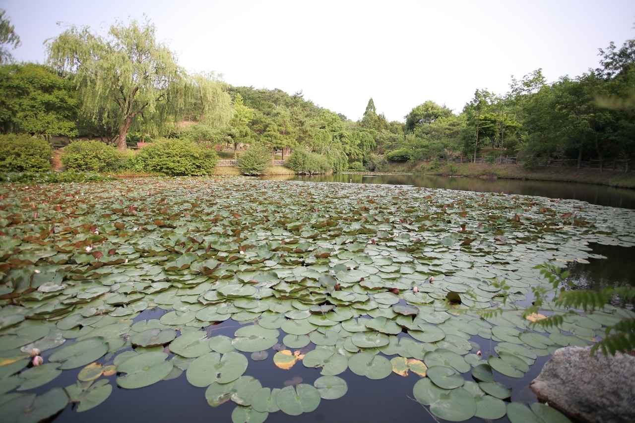 경상남도수목원 이미지 3