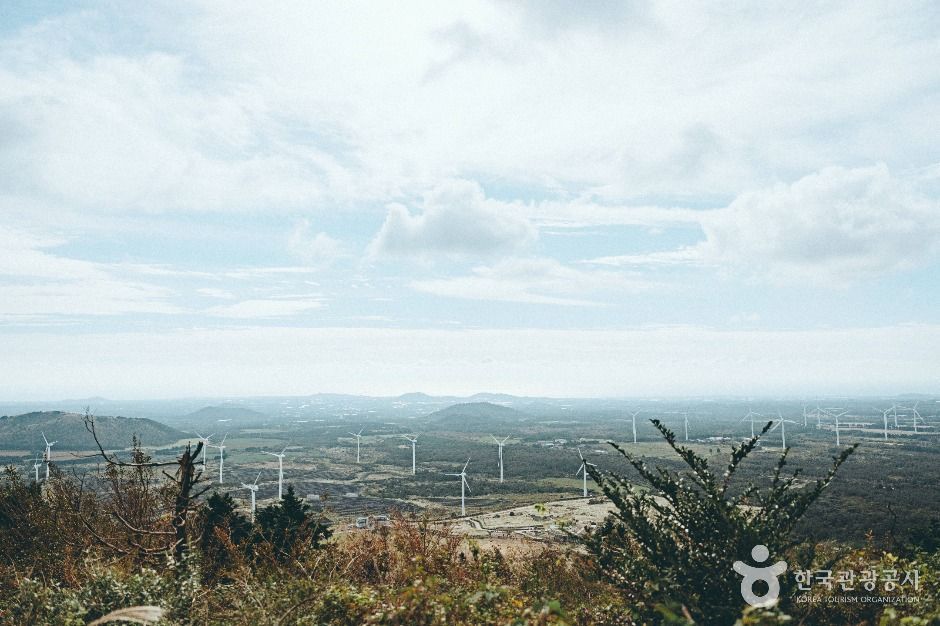 대록산(큰사슴이오름) 이미지 6