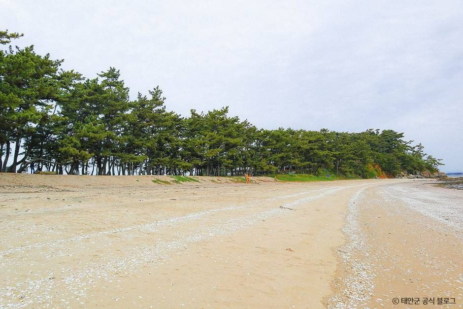 원안해수욕장 이미지 2