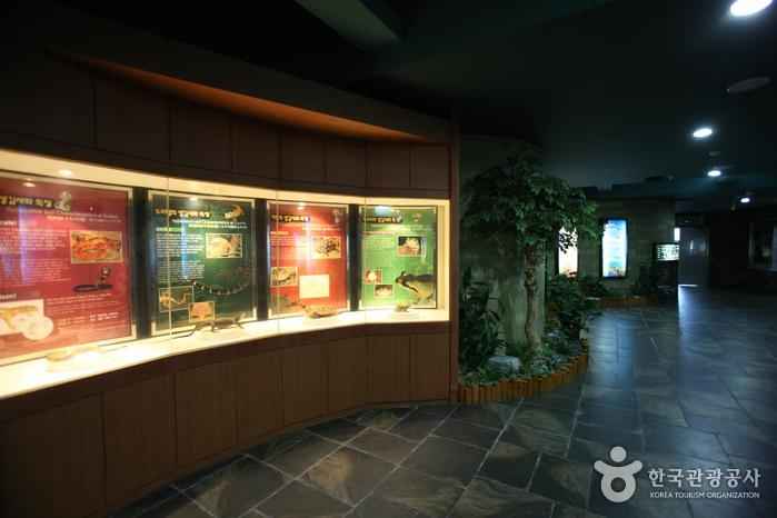 부산해양자연사박물관 이미지 5