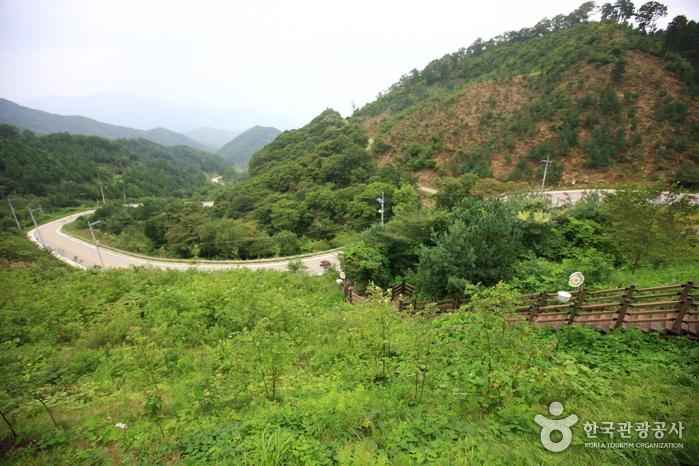 오도재와 지리산조망공원 이미지 2
