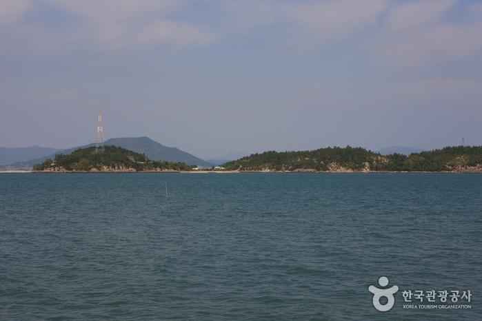 진지도 이미지 4