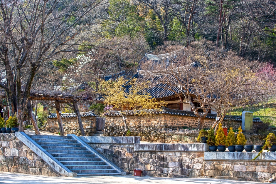 직지사 이미지 6