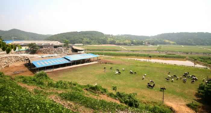 요라파목장 (구 가나안목장) 이미지 3